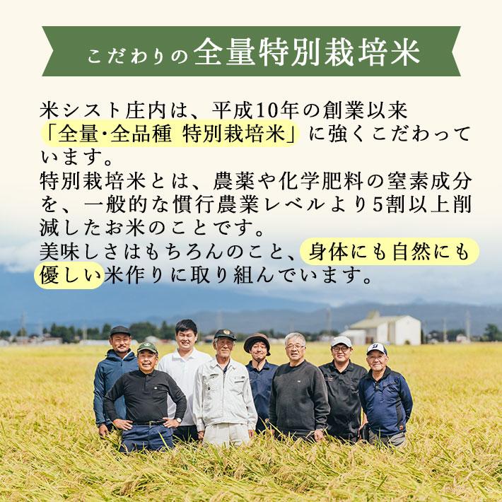 一生米 一升米 米 送料無料 特別栽培米 つや姫 山形県産 米シスト庄内