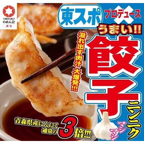 東スポ ニンニクマシマシ餃子 22gx50個 冷凍餃子 宇都宮の餃子