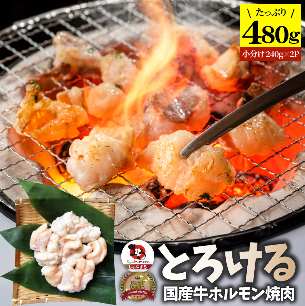 国産牛 ホルモン 480g (240g×2袋) ほるもん 小腸 焼肉用 お得 焼肉 やきにく アウトドア お家焼肉 レジャー 送料無料 冷凍