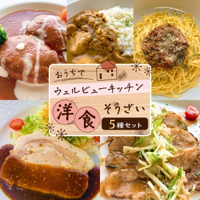 「おうちでウェルビューキッチン」洋食そうざい5種セット　K158-003