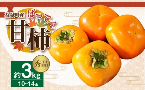  益城産 ばってん甘柿 秀品 約3kg 柿 10～14玉 果物