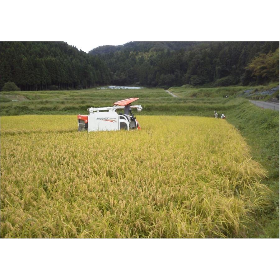 令和5年新米 いちほまれ  有機JAS　無農薬玄米　玄米 5kg　福井県産