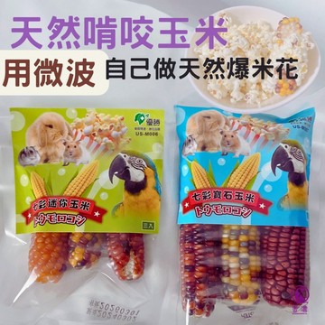 【現貨】優勝 七彩迷你玉米 寶石玉米 乾燥玉米 自製爆米花 鸚鵡小寵零食  倉鼠兔子 小動物玉米 乾燥玉米 啃咬玉米