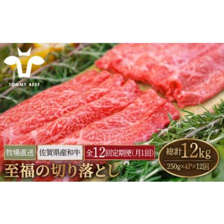 ふるさと納税 佐賀県産和牛 至福の切り落とし 1kg（250g×4パック）[IAH096] 佐賀県白石町