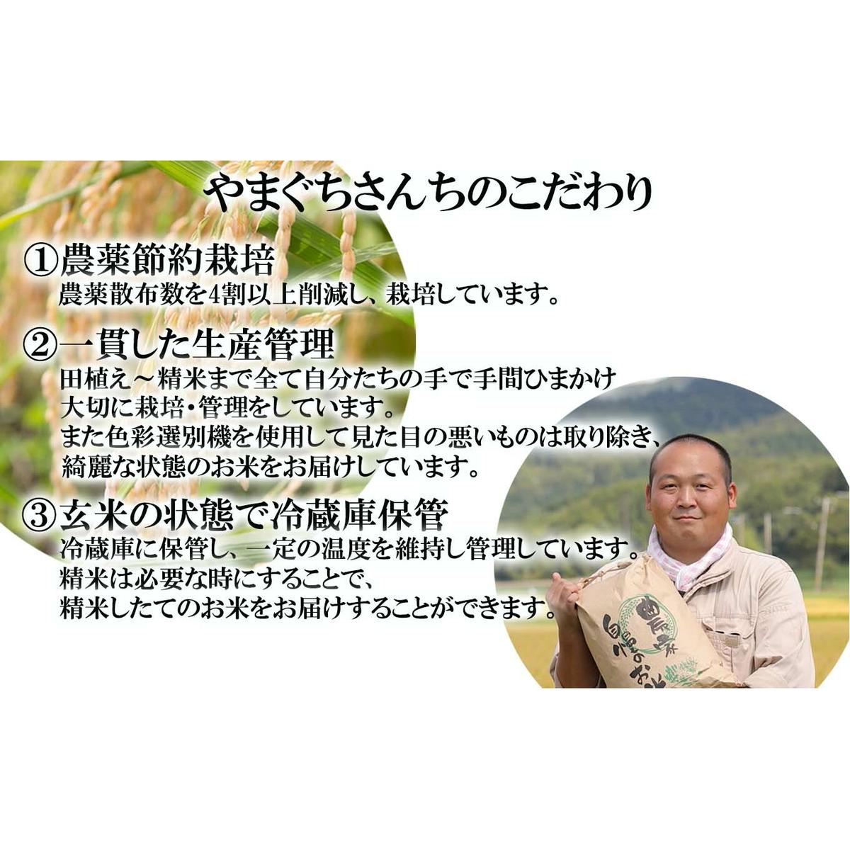 ＜ 予約 定期便 全6回 ＞ 北海道産 希少米 おぼろづき 玄米 計 10kg (5kg×2) ＜2024年10月より配送＞