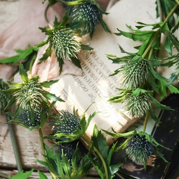 左岸麥田 安的列斯刺芹 ins網紅款三頭仿真花假花客廳裝飾花擺件