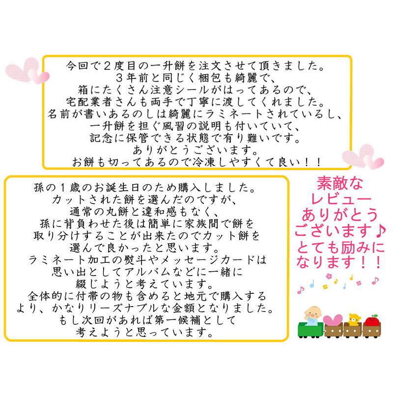 一升餅 人気 送料無料 シンプルセット 一生餅 背負い餅 一升餅 カット 済み 不織布風呂敷付 丸いお餅 も選べます