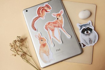 草原動物 交通卡貼 兔 鹿 浣熊 花栗鼠 松鼠 動物貼紙