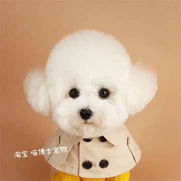 帥氣狗狗衣服貓咪秋冬保暖風衣可愛泰迪布偶英倫斗篷雙排扣披風圍