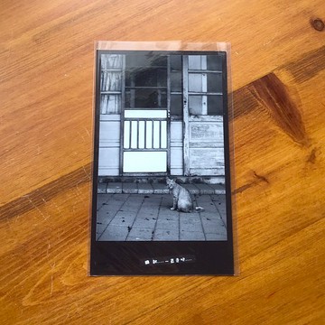 手工限量明信片-貓/台灣小物攝影