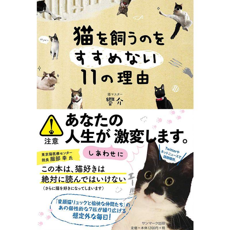 猫を飼うのをすすめない11の理由