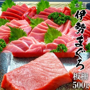 本マグロ 伊勢まぐろ 500g 板柵 2～3柵  4~6人前 大トロ 中トロ 赤身 チルド発送 鮪 刺身用 生食用 国産 三重県 南伊勢町 養殖本鮪 高級