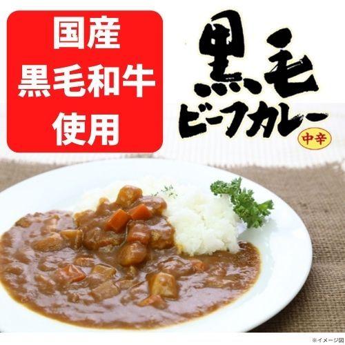 カレー レトルト 百寿薬膳 黒毛ビーフカレー中辛 １箱３食入り