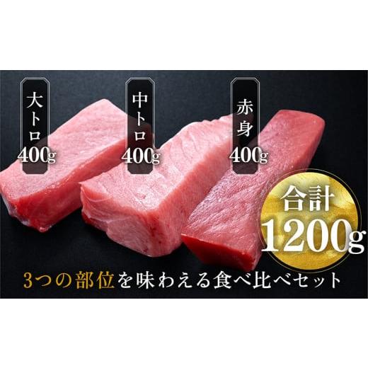 ふるさと納税 福井県 越前市 絶品！生本マグロセット　大トロ 400g   中トロ 400g   赤身 400g（すべて柵どり）