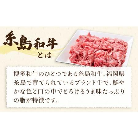 ふるさと納税 糸島和牛 小間切れ 500g ＆ 糸島和牛 糸島豚 合挽ミンチ 500g 計1kg《糸島》[ACA236] 博多 和牛 牛肉 豚肉 .. 福岡県糸島市