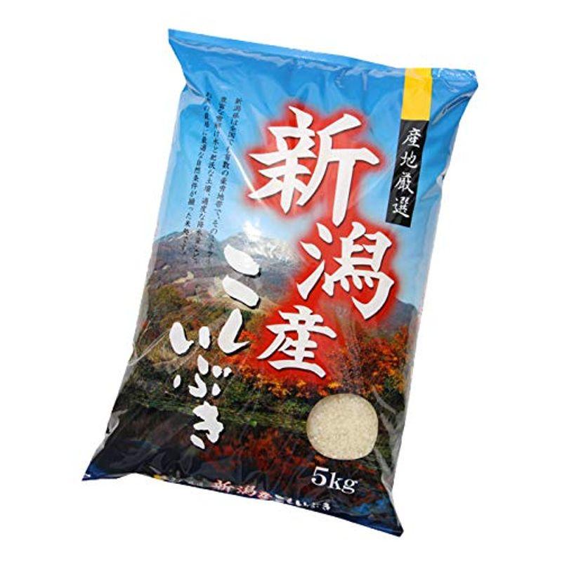 お米 5kg 新潟県産 こしいぶき 5kg 白米 令和4年産 精白米 農家直送 美味しいお米 ５キロ