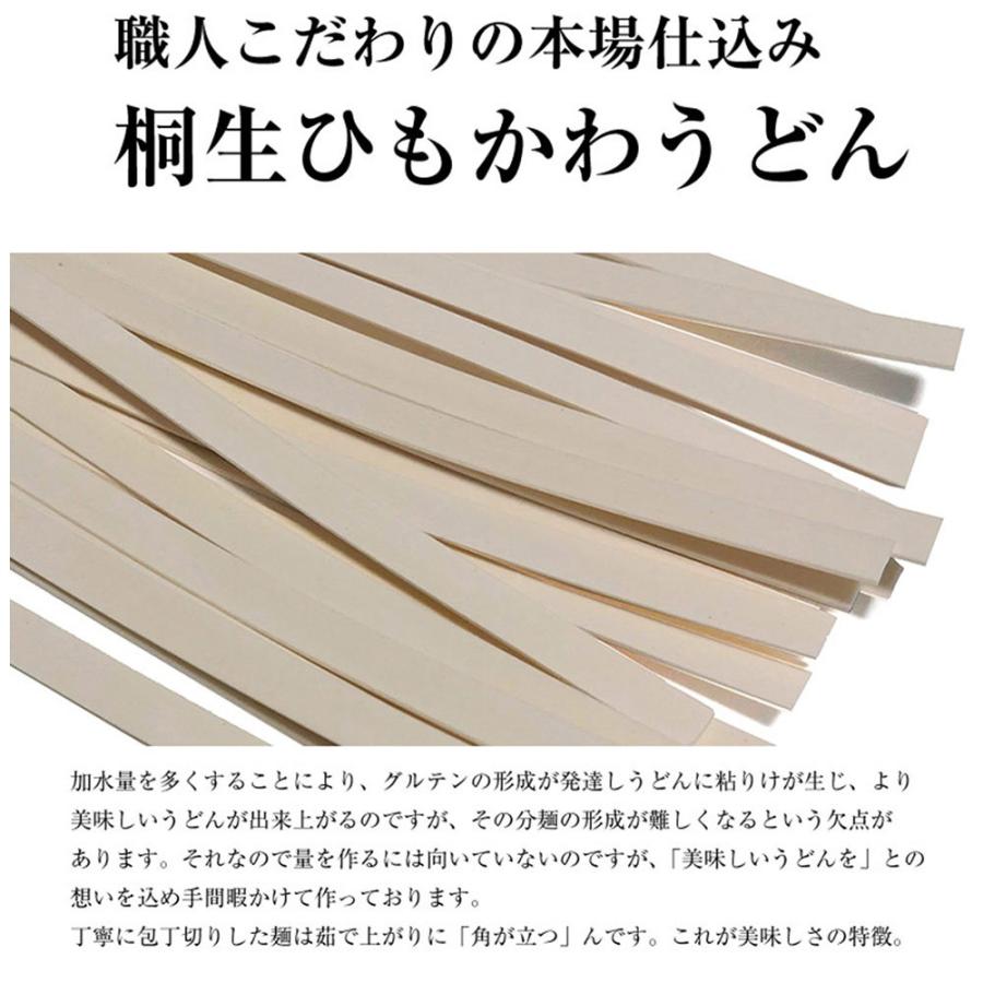 うどん ひもかわうどん 帯麺 170g　桐生うどん 270g×2袋 つゆ無し 送料無料 お試し ポイント消化