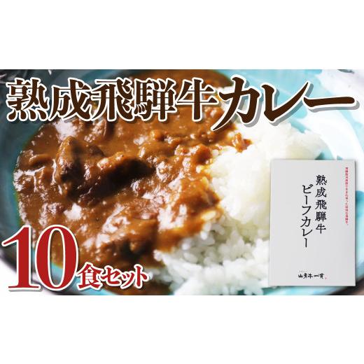 ふるさと納税 岐阜県 飛騨市 飛騨牛カレー 熟成肉 １０食セット