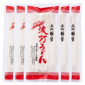 桐生の波打うどん ねじれうどん　半生麺 300g×5 なみうちうどん でこぼこ麺  ギフト