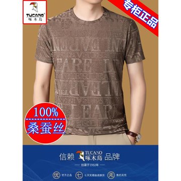 啄木鳥冰絲短袖t恤男士夏季圓領半袖2024新款桑蠶絲打底體恤衫男T
