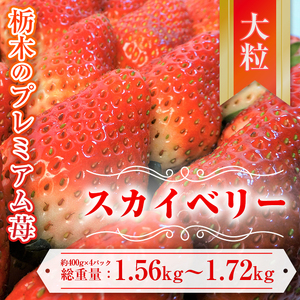 スカイベリー 約390g～430g×4パック ※離島への配送不可 ※2024年1月中旬頃より順次発送予定