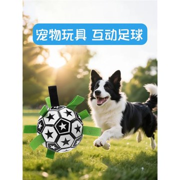 狗狗玩具球泰迪自嗨玩具拉布拉多柯基訓練專用狗耐玩玩具寵物足球