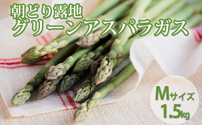 北海道 富良野市産 アスパラ 緑 (Mサイズ) 約1.5kg 朝どり 露地 グリーン アスパラガス 詰め合わせ 野菜 新鮮 数量限定 先着順