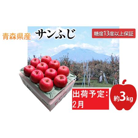 ふるさと納税 2月  サンふじりんご「特A」約3kg 糖度13度以上(8〜10玉程度）  青森県平川市