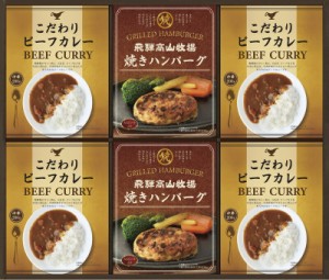 飛騨高山牧場 焼ハンバーグビーフカレーセット C