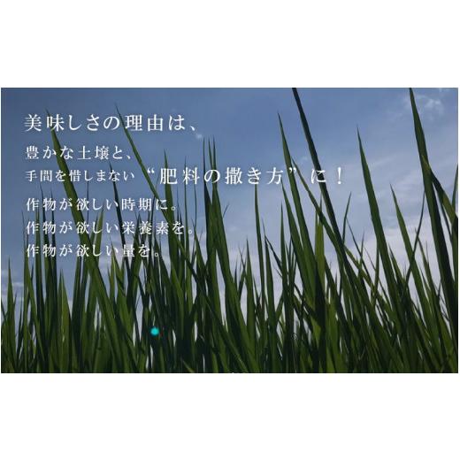 ふるさと納税 福井県 坂井市 福井県産 ミルキークイーン5kg×12回 計60kg 〜化学肥料にたよらない100%の…