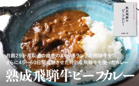 熟成飛騨牛カレー　１０食セット［D0034］