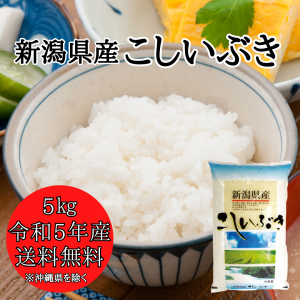 新潟県産 こしいぶき 5kg （5キロ×1袋）  米 5キロ 送料無料 精米 令和5年 5kg お米