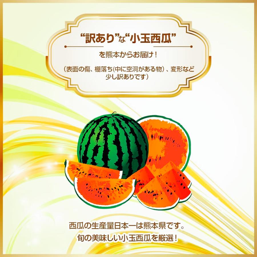 くまもと食彩の力 産地直送 熊本 小玉すいか 2玉 約3Kg Mサイズ以上 優品  訳あり (002)小玉西瓜 熊本県産 フルーツ 果物 家庭用