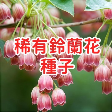 【稀有鈴蘭花種子】台灣君影草 山谷百合 香水花 草玉玲 鹿鈴草 香花植物 盆栽園藝 觀賞花卉 多年生球根 室內外皆宜