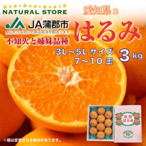 [予約 1月25日-2月28日の納品] はるみ 3kg 大玉サイズ 7玉から10玉化粧箱 はるみみかん柑橘 蒲郡産 果実ギフト