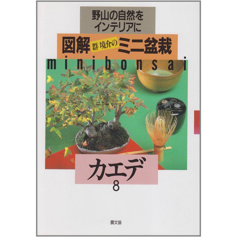 カエデ (図解 群境介のミニ盆栽?野山の自然をインテリアに)