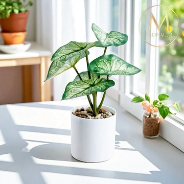 快速出貨🌷家居擺飾【Floral M】室內桌上型白天使海芋仿真綠植