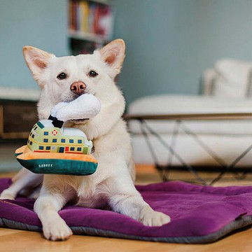 寵物床墊 睡墊 四季舒活墊 XL號(10色) 可機洗