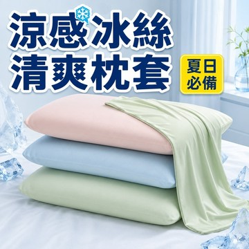 【隔日到貨🔥】冰絲涼感枕套 小冰皮枕套 彈力枕頭套 記憶枕乳膠枕通用 夏季枕套 親膚柔滑 清爽不悶熱 中孔套入 台灣現貨