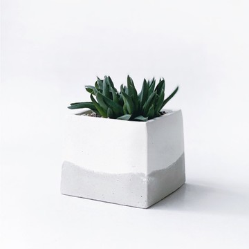 (預購) 白灰漸層系列 | 照波 方形水泥多肉植栽