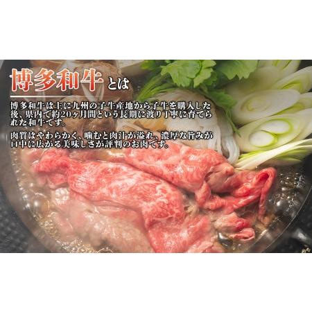 ふるさと納税 訳アリ！博多和牛しゃぶしゃぶすき焼き750gセット(スライス250g＋切り落とし500g) 福岡県田川市