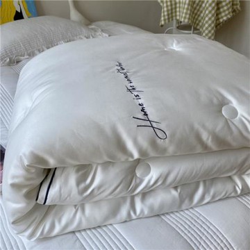 簡約輕奢軟糯抗菌云絨被芯四季通用春秋被單雙人冬季加厚保暖被子