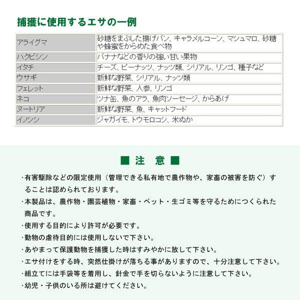 はこわな２号（片開き） イノシシ 害獣 対策 捕獲