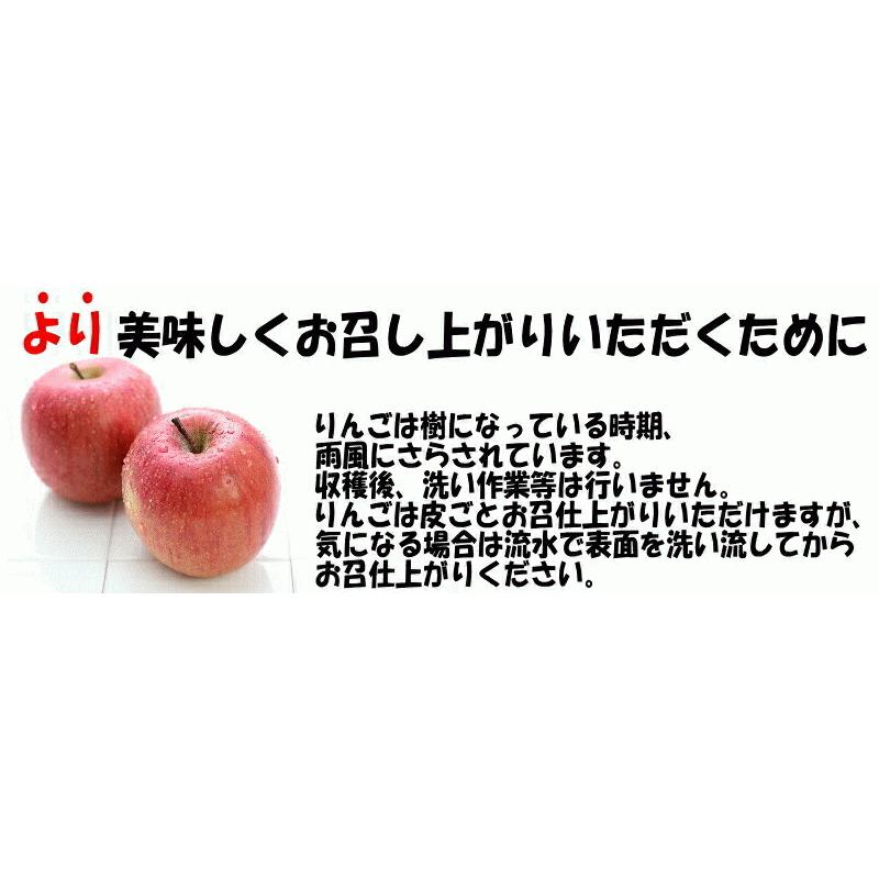 あすつく 青森 りんご 10kg箱 訳あり 加工用 選べる品種 送料無料 あすつく リンゴ 10キロ箱★品種選べる 加 10kg箱