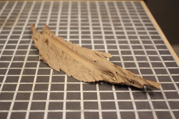 【送禮好物】樟木 隨形臥香座 木藝擺飾 三峽日月坊出品