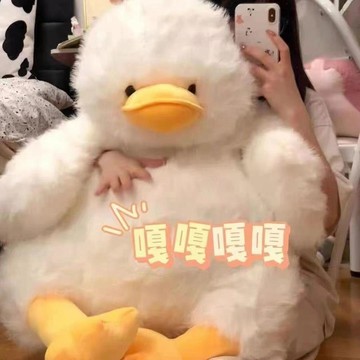 🚚甄選優品💨可愛炸毛墩墩鴨玩偶 毛絨玩具 小鴨子公仔 睡覺抱枕 生日禮物 布娃娃 生日禮物 交換禮物