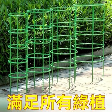 🔥臺灣出貨24H🔥花架子室內傢用支架通用型蟹爪蘭花架蓮花護葉架園藝盆栽支撐桿AShhfoof11123
