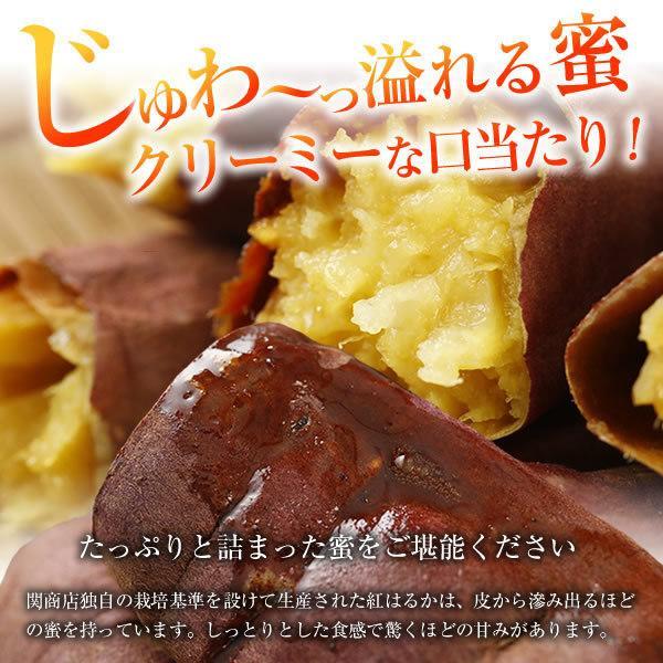 冷凍焼き芋 茨城 紅はるか 合計1.5kg(500g×3袋) ギフト 食品 プレセント 焼き芋 さつまいも サツマイモ 焼いも 茨城県 茨城県産 関商店 スミフル