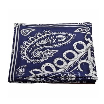 HERMES Cheval de Coeur Bandana系列羊絨真絲混紡大方巾/披肩(140cm-藍色)
