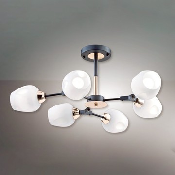 E27時尚風半吸頂六燈 B102-13-63051